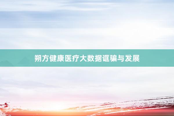 朔方健康医疗大数据诓骗与发展