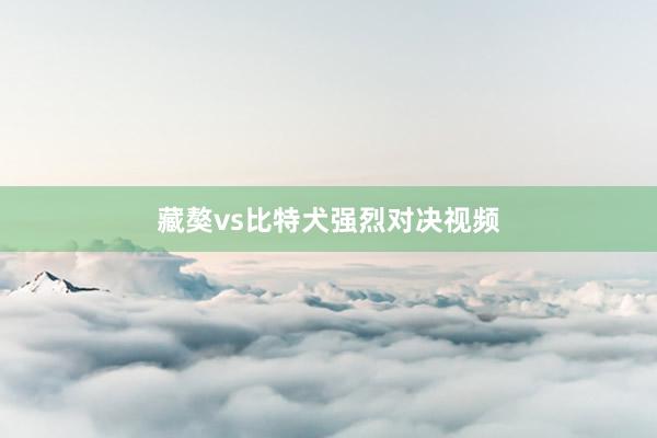 藏獒vs比特犬强烈对决视频