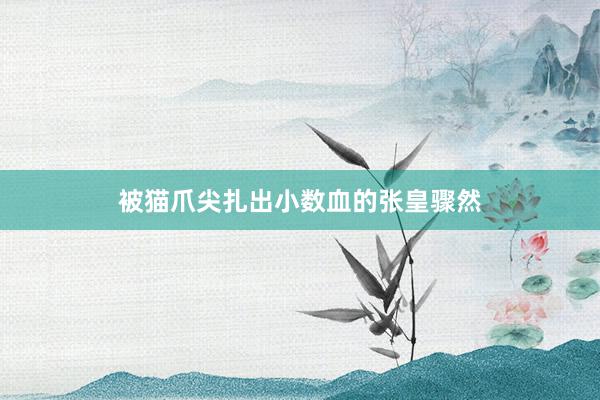 被猫爪尖扎出小数血的张皇骤然