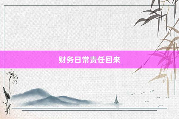 财务日常责任回来